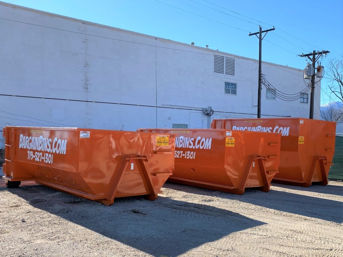 Why Bargain Bins? Bargain Bins LLC
